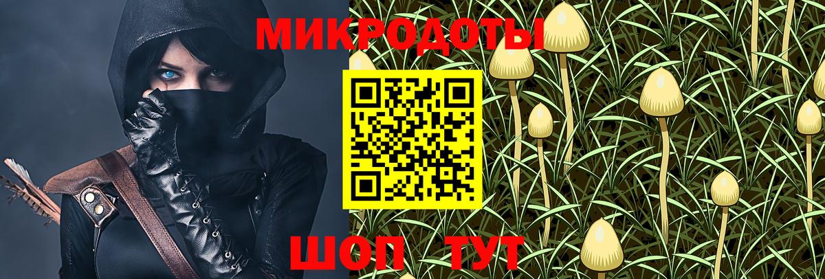 Псилоцибиновые грибы MAGIC MUSHROOMS Фрязино