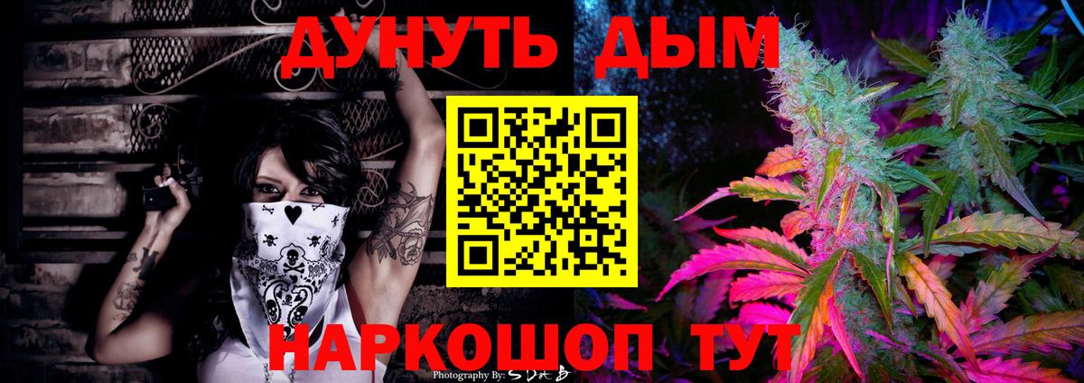 Конопля сатива Фрязино